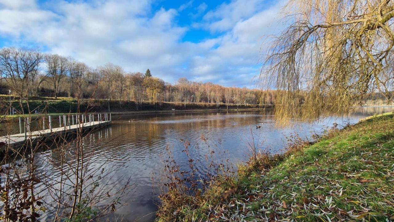 Le Salmoyard, Studio Au Bord Du Lac A Vielsalm Exteriör bild