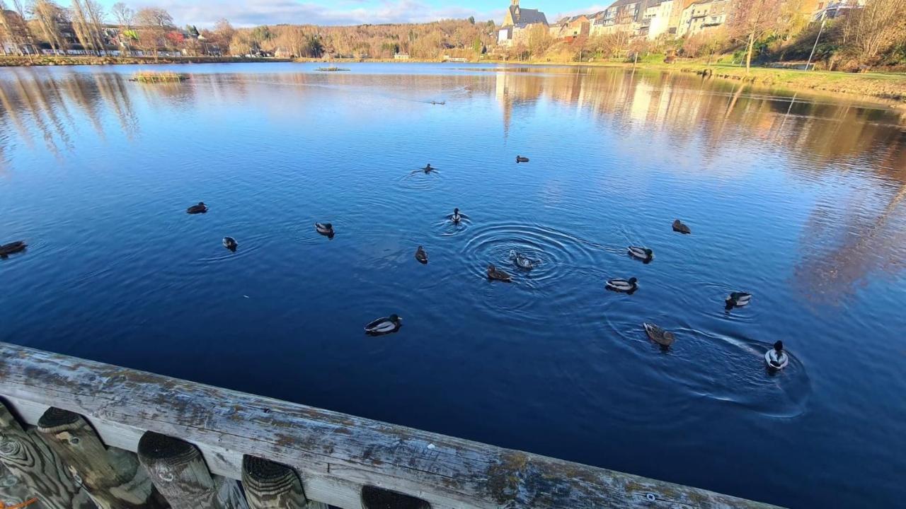 Le Salmoyard, Studio Au Bord Du Lac A Vielsalm Exteriör bild